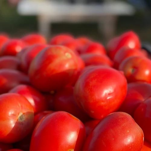 Tomate ensalada